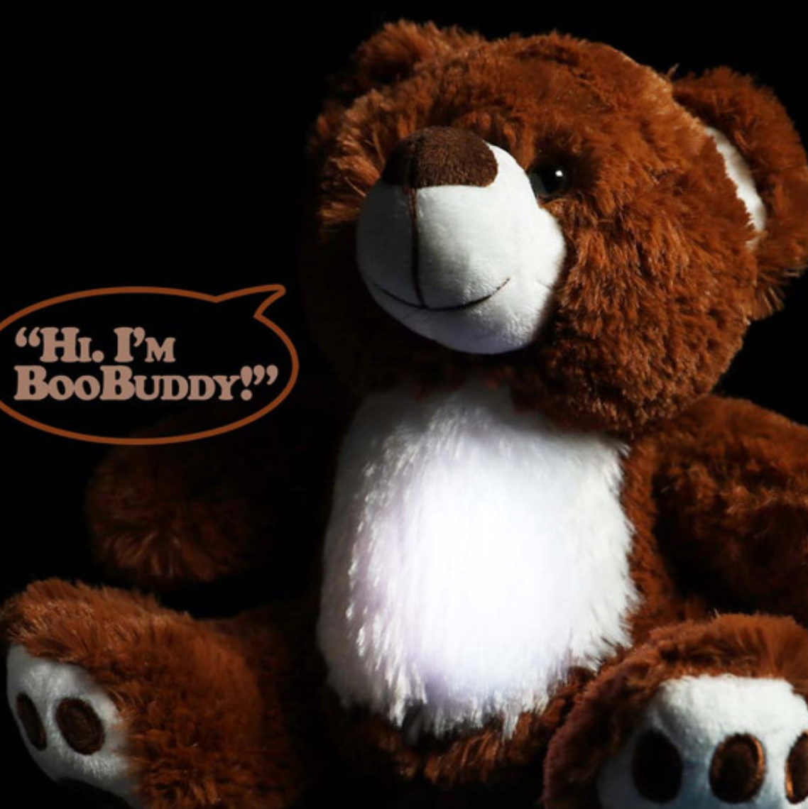 BooBuddy Interactive Bear  child spirit investigation tool